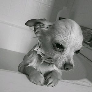 Meet your Posher, Jonny